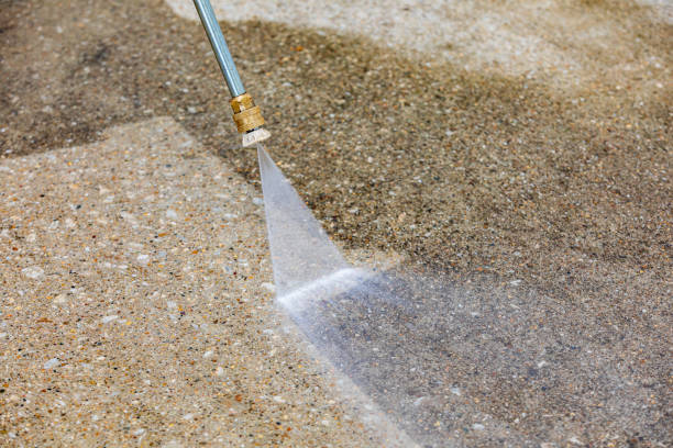 Best Gutter Cleaning  in La Plata, MO