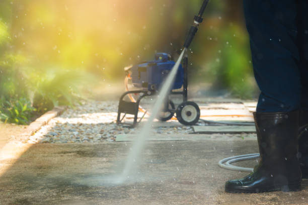 Best Solar Panel Cleaning  in La Plata, MO